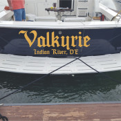 RESIZED VAKURIE